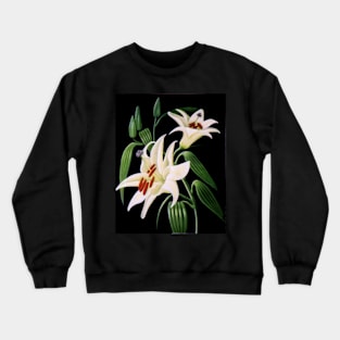 Lillies 99 - Oil painting by Avril Thomas - Adelaide / South Australia Artist Crewneck Sweatshirt